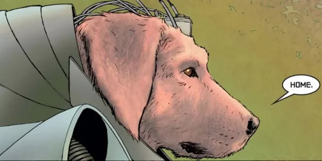 Bandit dogs in books and comics Bandit dogs in books and comics