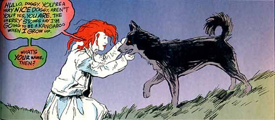 Barnabas Sandman Neil Gaiman Barnabas Sandman Neil Gaiman
