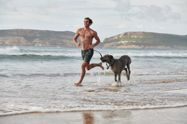 Dog Running