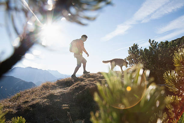 Dog hiking