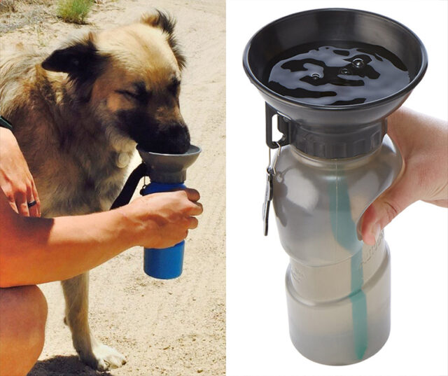 Dog water bottle Dog water bottle