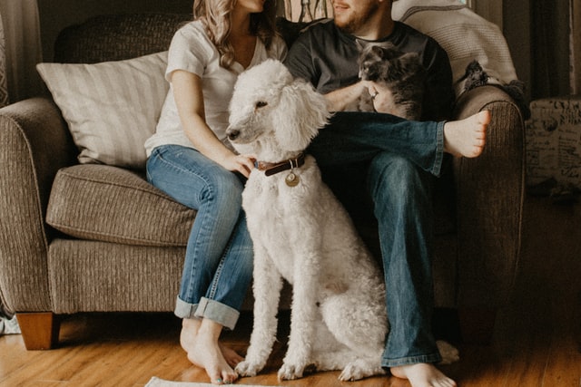 couple and dog at home sofa