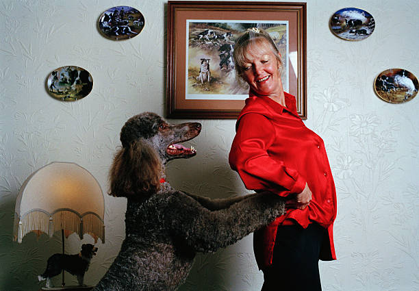 dancing dog