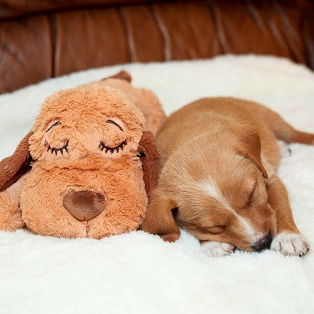 dog calming toy dog calming toy