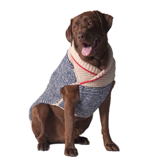 dog sweater dog sweater