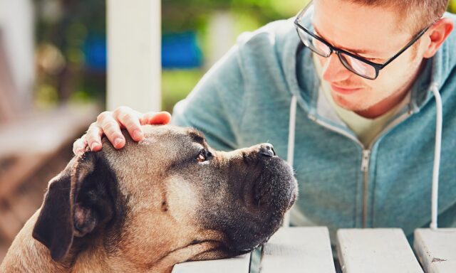 dogs help recover from illness dogs help recover from illness