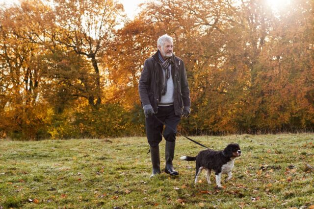 dogs make us feel less alone dogs make us feel less alone