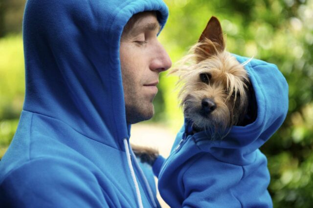 dogs matching clothes with owners
