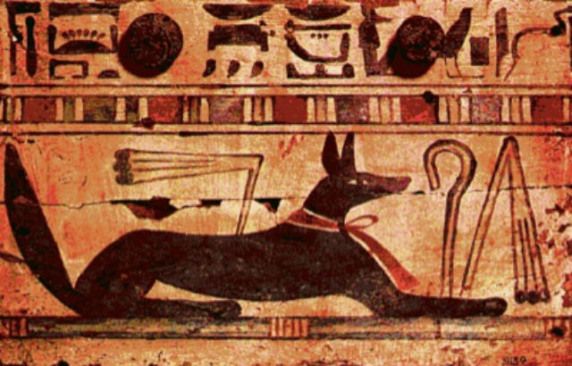 egyptian dog