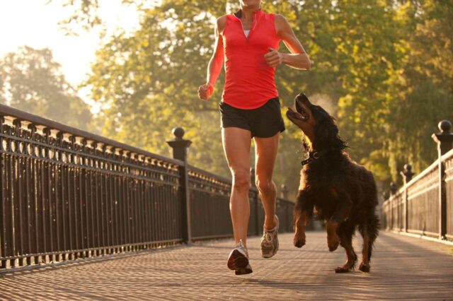 exercising with a dog exercising with a dog