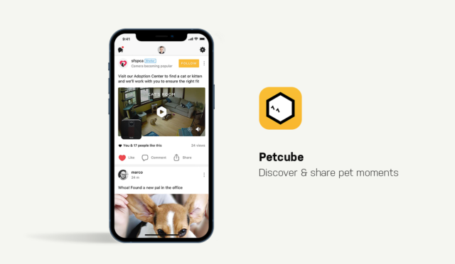 Dog Apps for Smartphones Petcube App Showcase