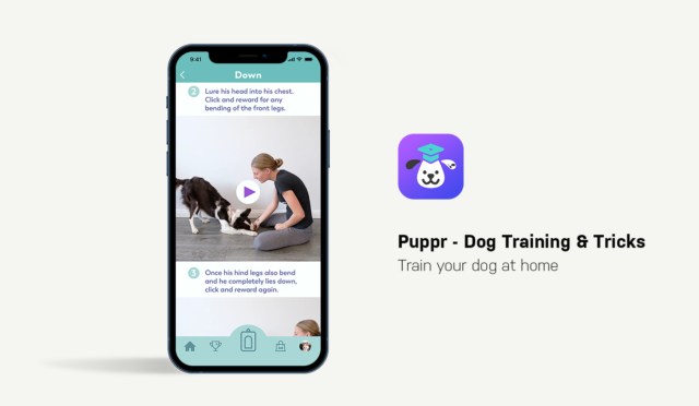 Dog Apps for Smartphones Puppr App Showcase