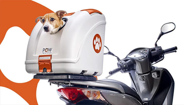 Dog Carrier System Dog Gadgets