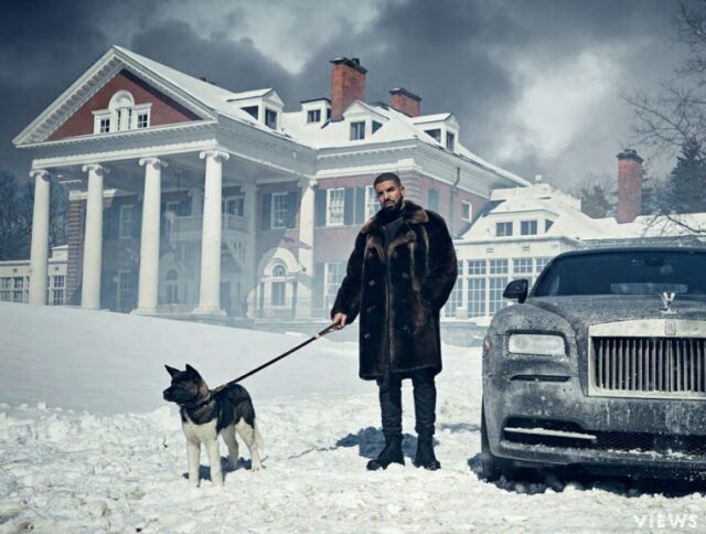 Drake and dog