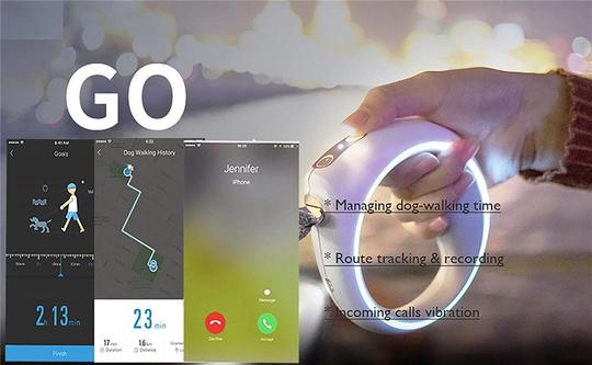 Go Smart Dog Leash