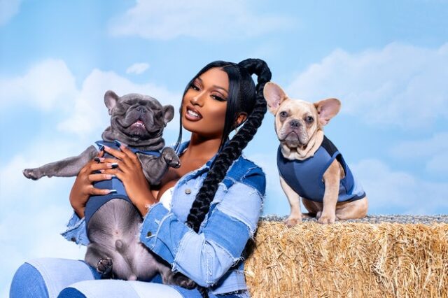 Megan Thee Stallion