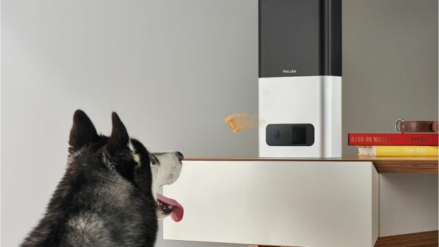 Petcube Wi Fi Pet Camera