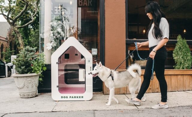 Smart Dog House Dog Gadgets