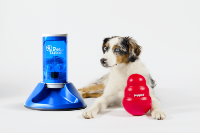 Smart Dog Toy Platform