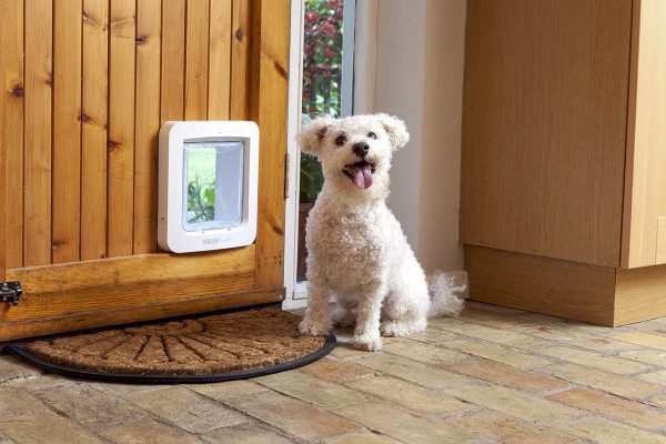 Smart Pet Door Dog Gadgets