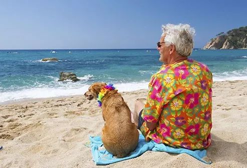 dog and owner on the beach dog and owner on the beach