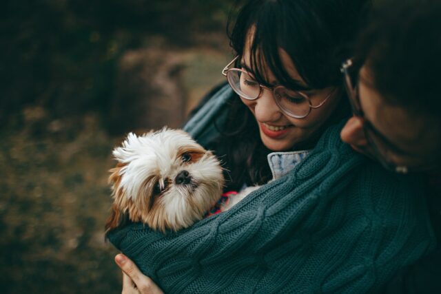 dog and parents hug new owners