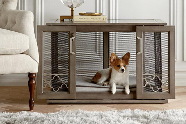 dog crate dog crate