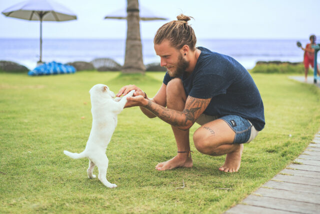 dog tattoo dog tattoo