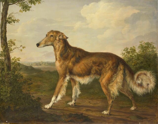 Dog portrait painting Dog portrait painting