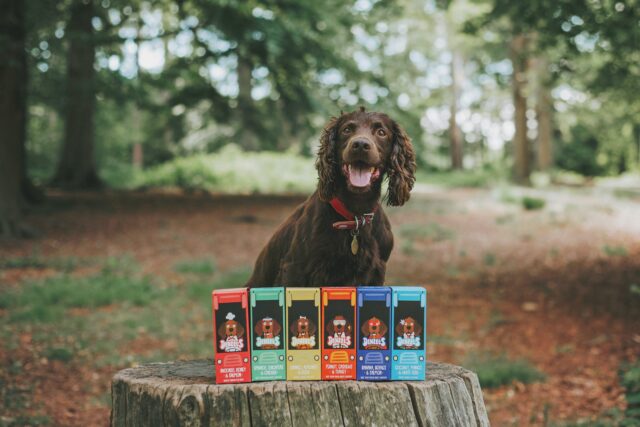 dog treats dog treats