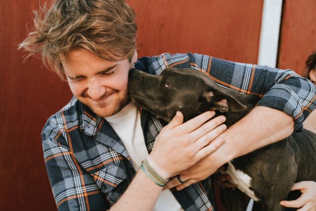 volunteer at an animal shelter volunteer at an animal shelter