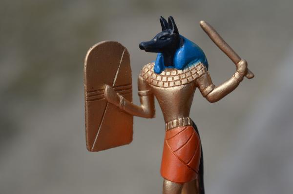 celebrity dog mythology anubis