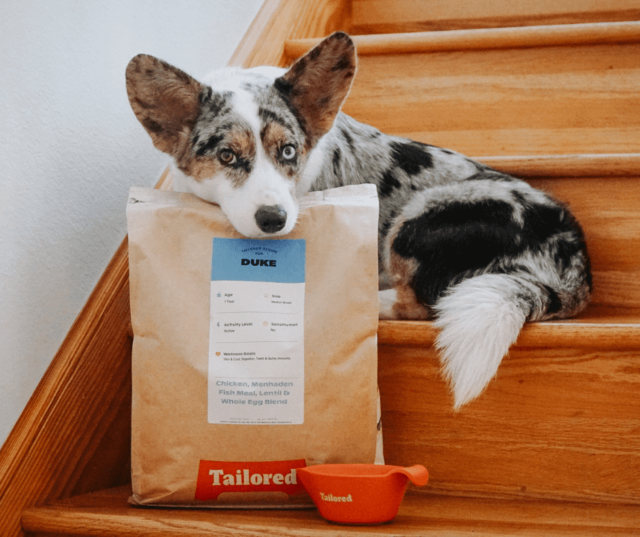 tailored dog food 1