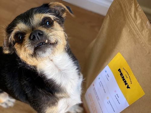 tailored dog food 5