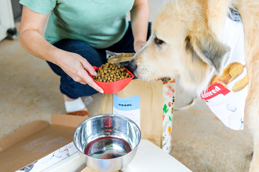 tailored dog food 6