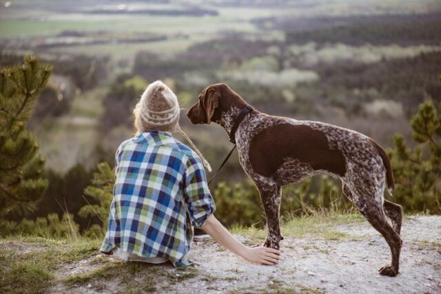 9 signs your dog is unhappy 9 signs your dog is unhappy