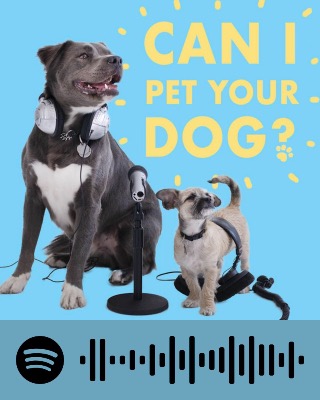 Can I Pet Your Dog