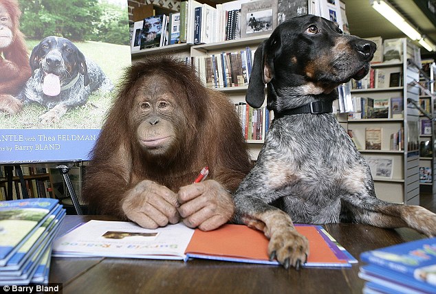animal welfare act ape and dog