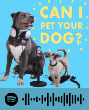 can i pet your dog