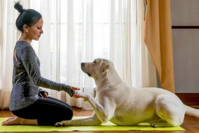 dog yoga
