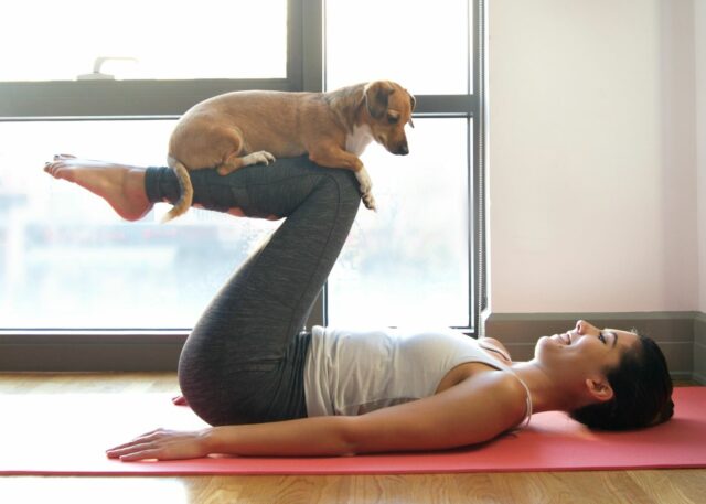 doga classes