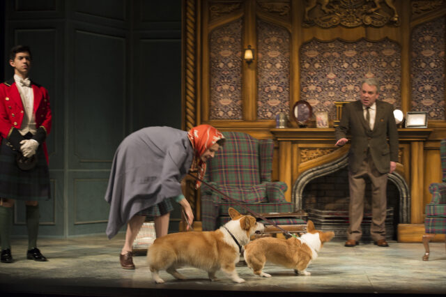 dogs in theater - the audience dogs in theater the audience