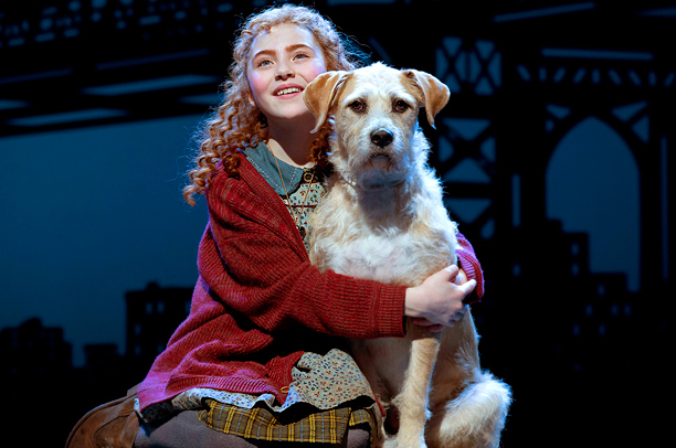 theater shows with dogs - annie theater shows with dogs annie