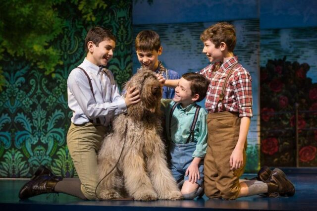 theater shows with dogs - finding neverland theater shows with dogs finding neverland