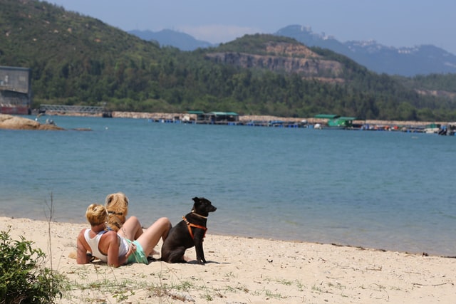 dog friendly dates on the beach