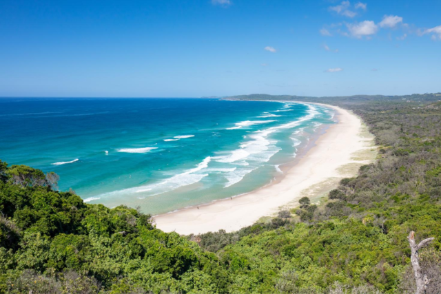 dog-friendly-tallow-beach-96 dog friendly tallow beach 96