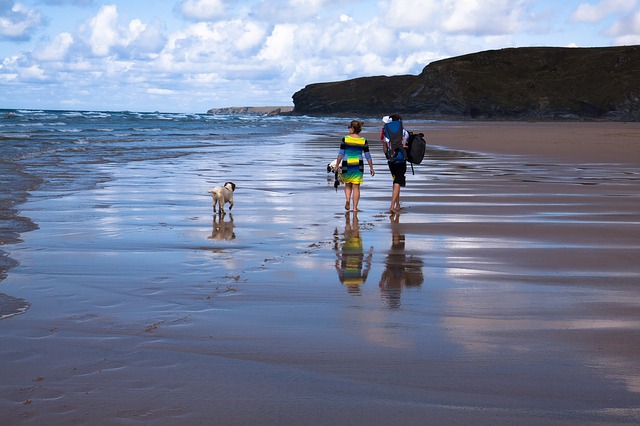 family dog friendly date on beach