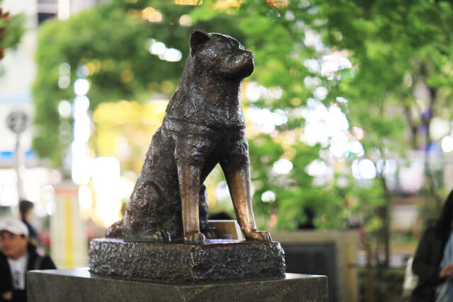 Hachiko-statue Hachiko statue