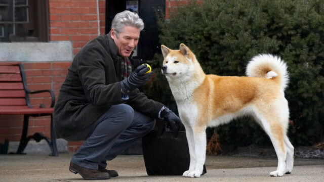 Netflix hachiko richard gere Netflix hachiko richard gere