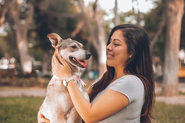 rescue dog owner and dog happy rescue dog owner and dog happy